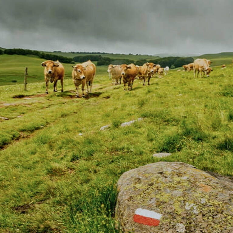 Camping Aubrac